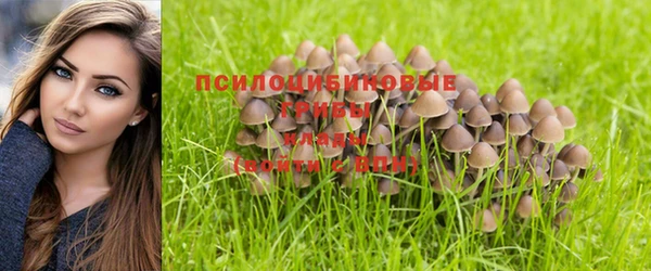 герыч Россошь