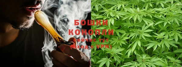 сатива Абинск