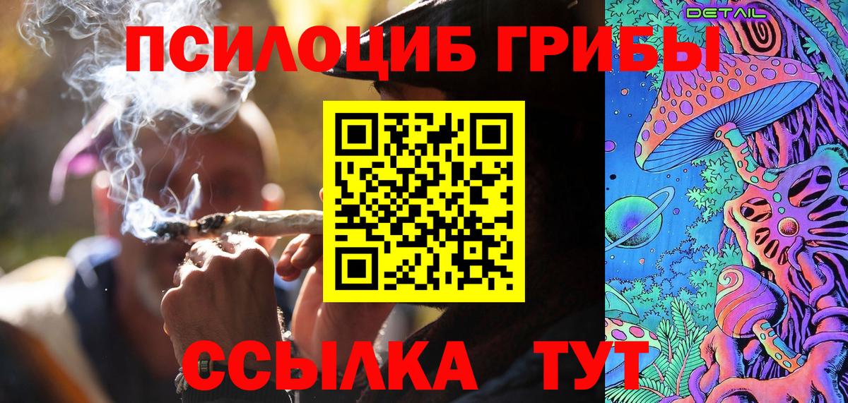 Псилоцибиновые грибы мицелий Касимов