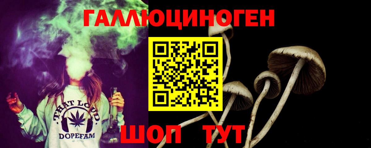 Псилоцибиновые грибы Magic Shrooms  Вход с VPN  где купить наркоту  Касимов 